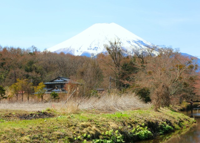 忍野八海