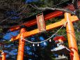 冬の新倉富士浅間神社