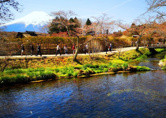 忍野八海