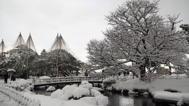 冬の兼六園