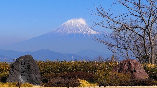 日本平から望む富士山