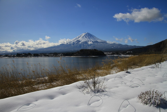 冬の大石公園