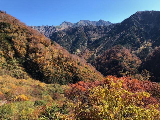 秋の小池新道