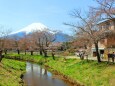 忍野八海