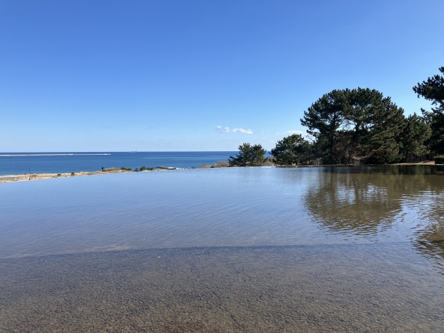 ひたち海浜公園から海