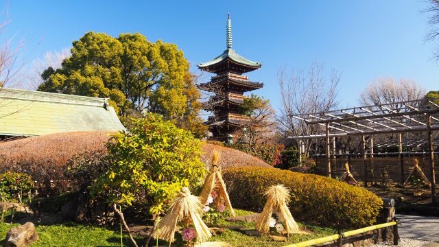 冬の上野東照宮