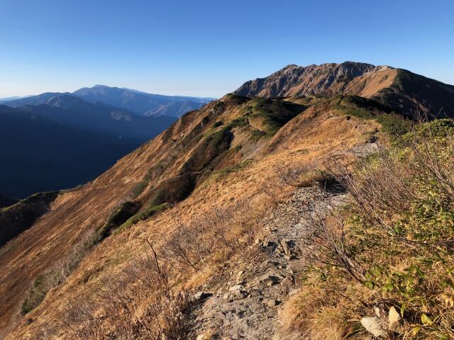 朝の弓折岳