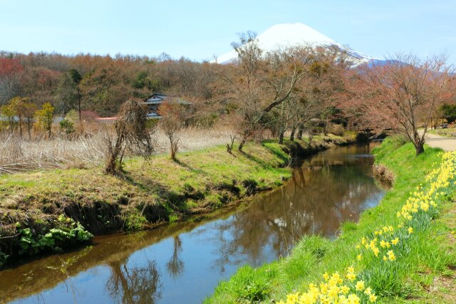 忍野八海