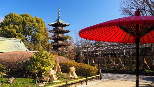 冬の上野東照宮