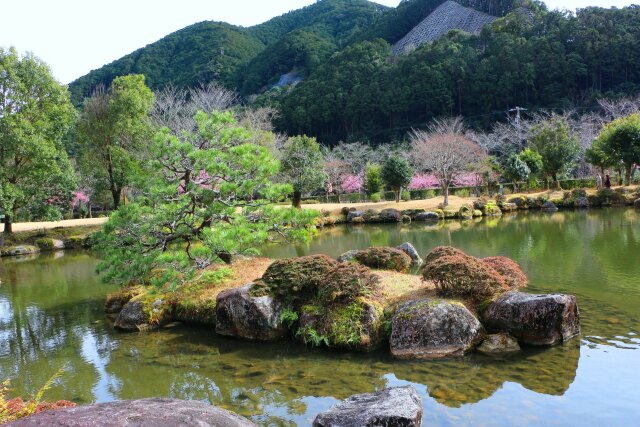 冬の日本庭園