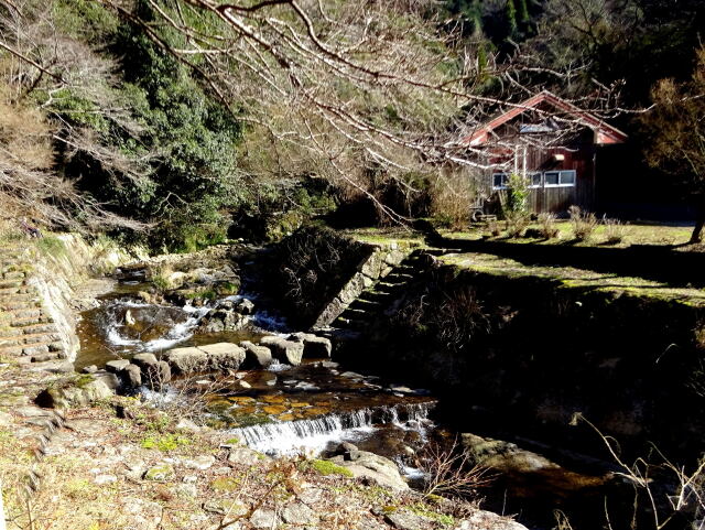 公園遊歩道の飛び石