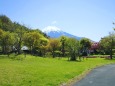 山中湖花の都公園