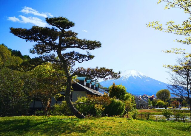 山中湖花の都公園