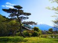 山中湖花の都公園