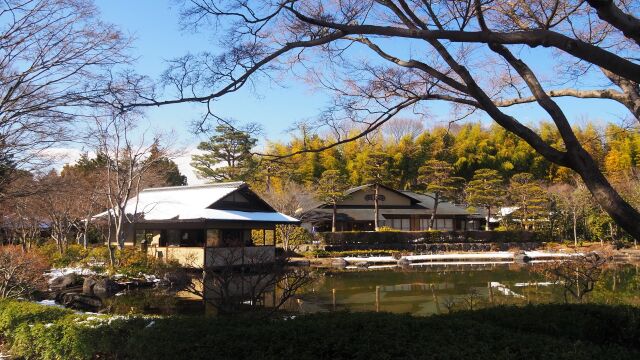 冬の昭和記念公園