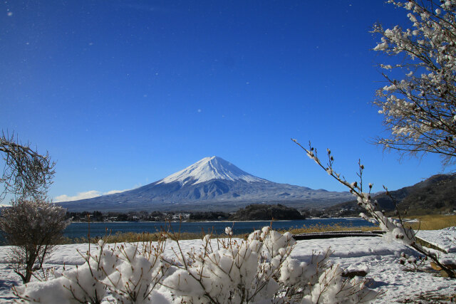 河口湖の雪景色