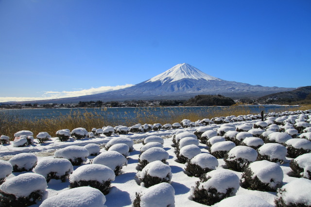 大石公園雪景色