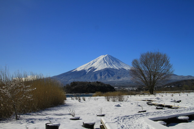 雪の大石公園