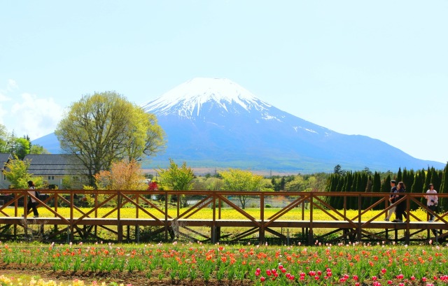 山中湖花の都公園