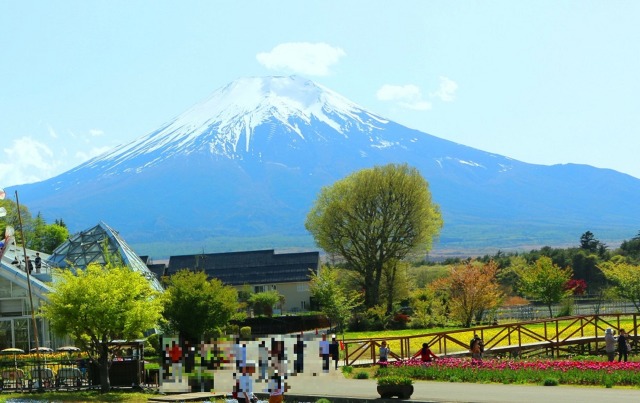 山中湖花の都公園