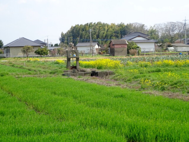 3月になった里の春