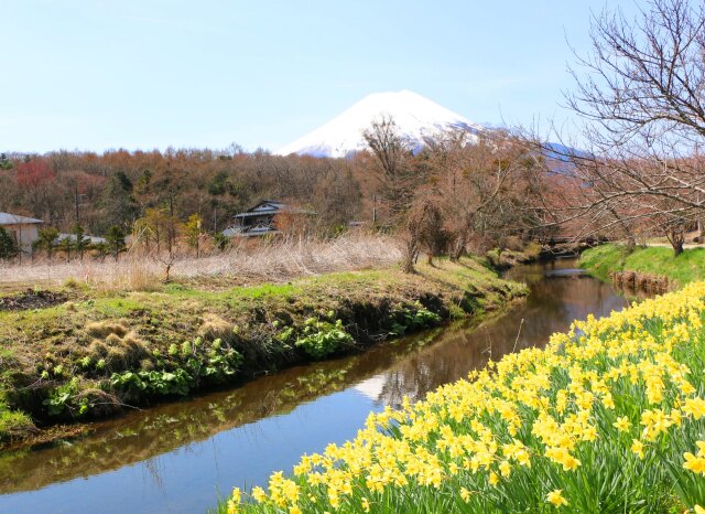 忍野八海