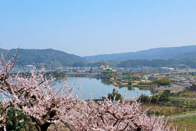 梅園と池の畔の中国庭園