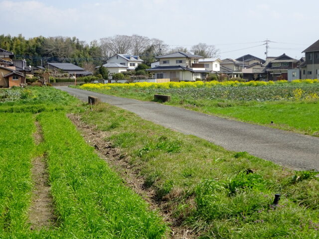 3月になった里の春