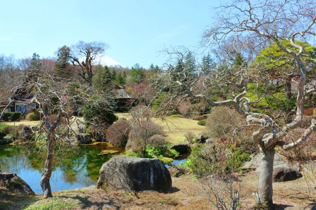 初春の公園