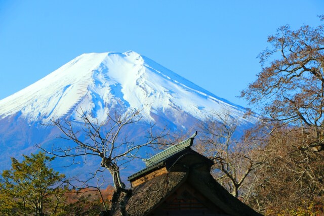 忍野八海