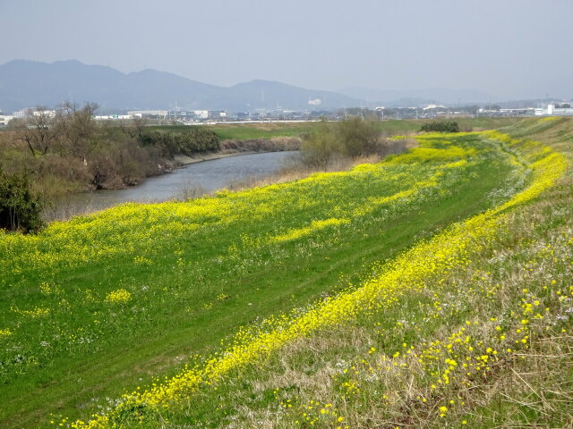 なつかしい春景色