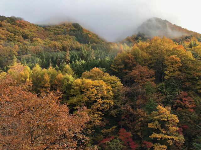 秋の奥飛騨