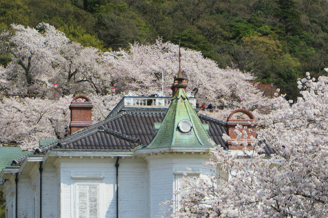 桜と洋館