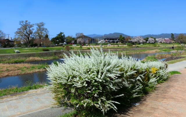 鴨川