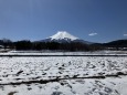 一面雪景色