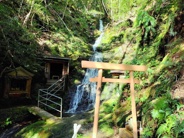 春の熊野古道