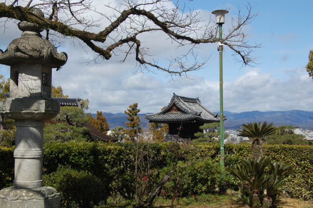 京の街が見えるかい 2024年