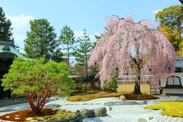 高台寺