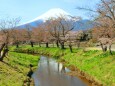 忍野八海