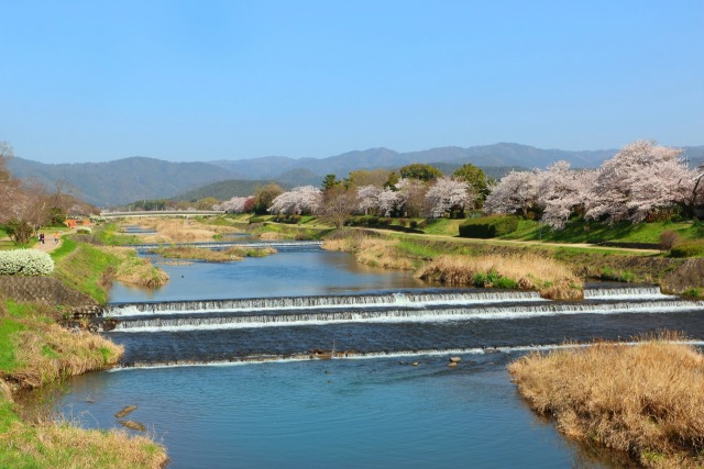 鴨川