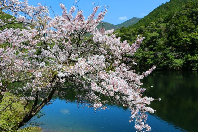 下北山村