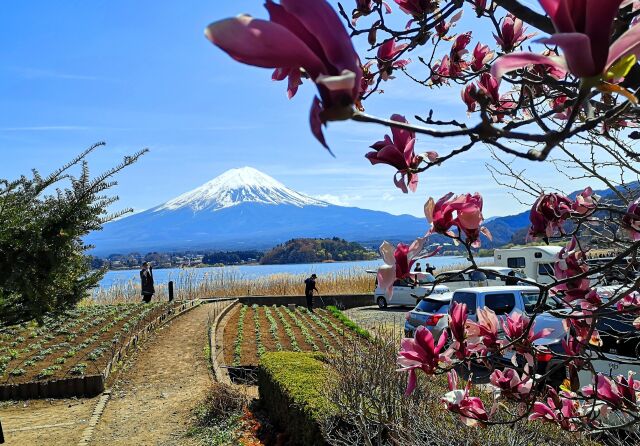 河口湖