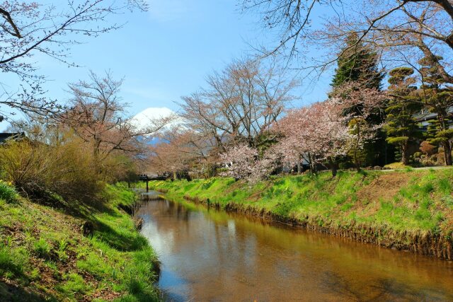 忍野八海