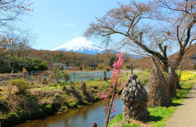 忍野八海