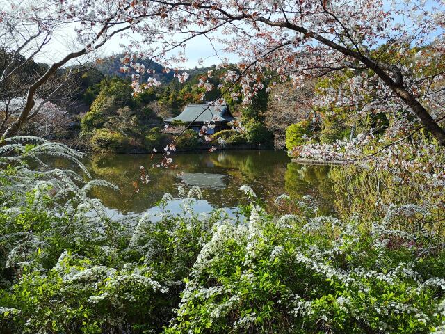 龍安寺