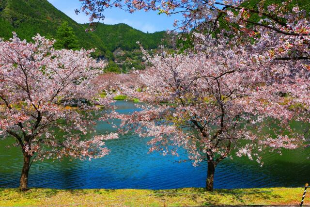 下北山村