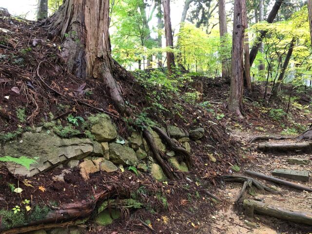 高山城石垣