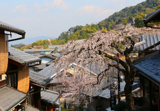 春の京都の街並み