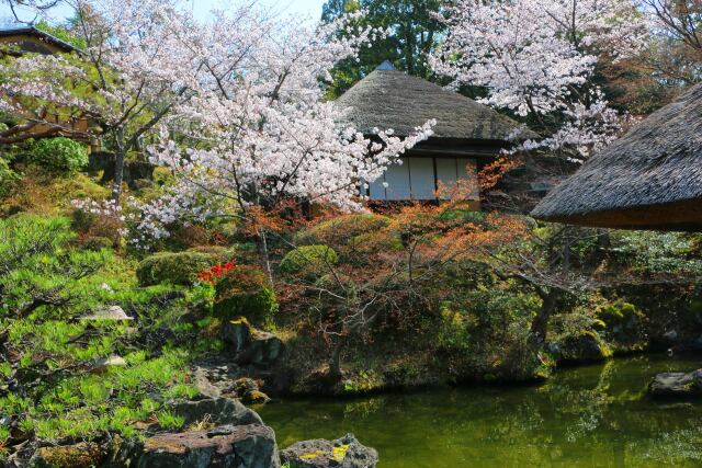 春の庭園