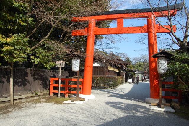 下鴨神社 2024年